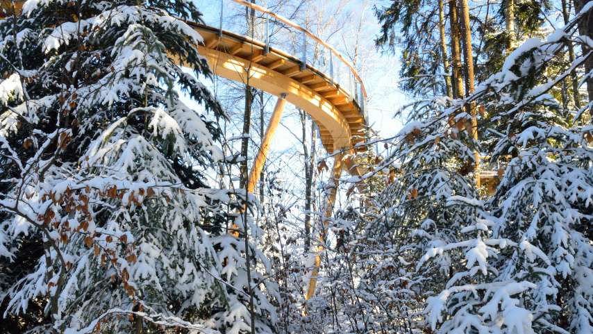 Baumwipfelpfad Neckertal